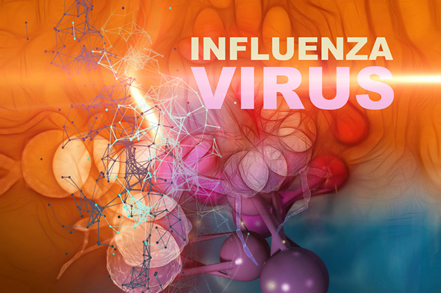 Vectir image showing a representation of virus particles with the wprds "Influennza Virus" overlaid